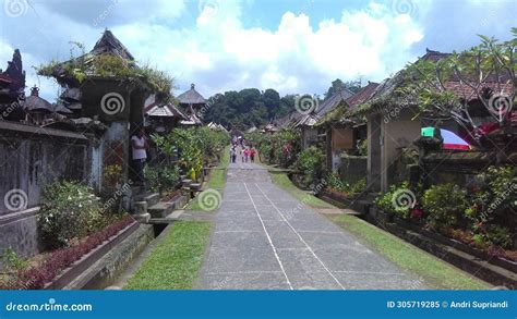 worlds cleanest village|Most Beautiful and Cleanest Village in Bali .